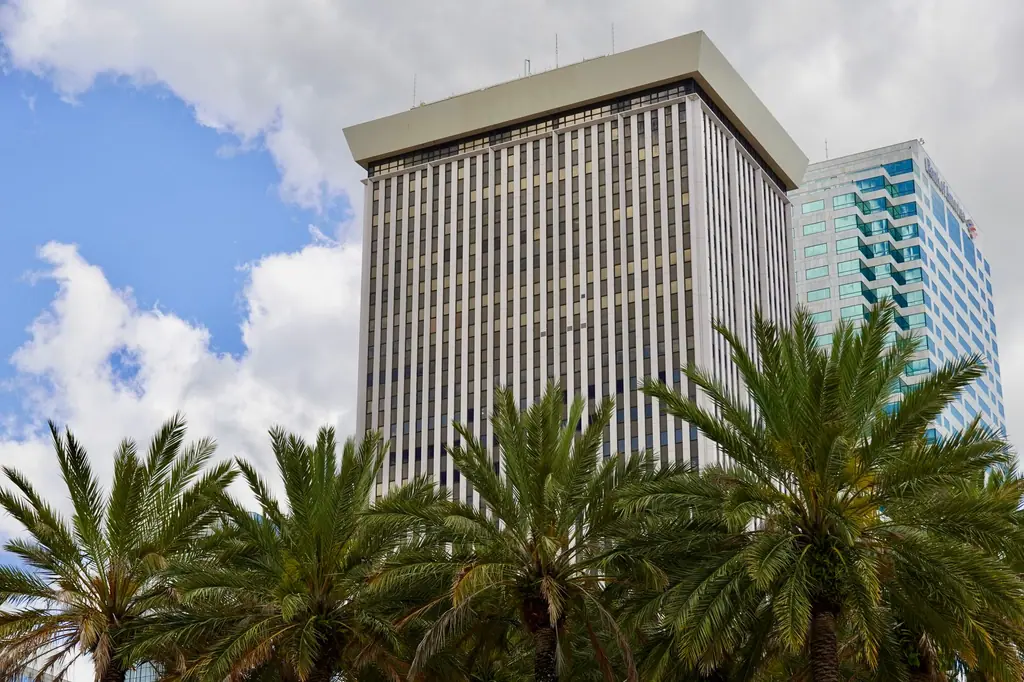 View of palm trees and an office tower, shown through a simulated tinted window